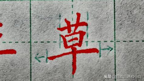 後背草字頭